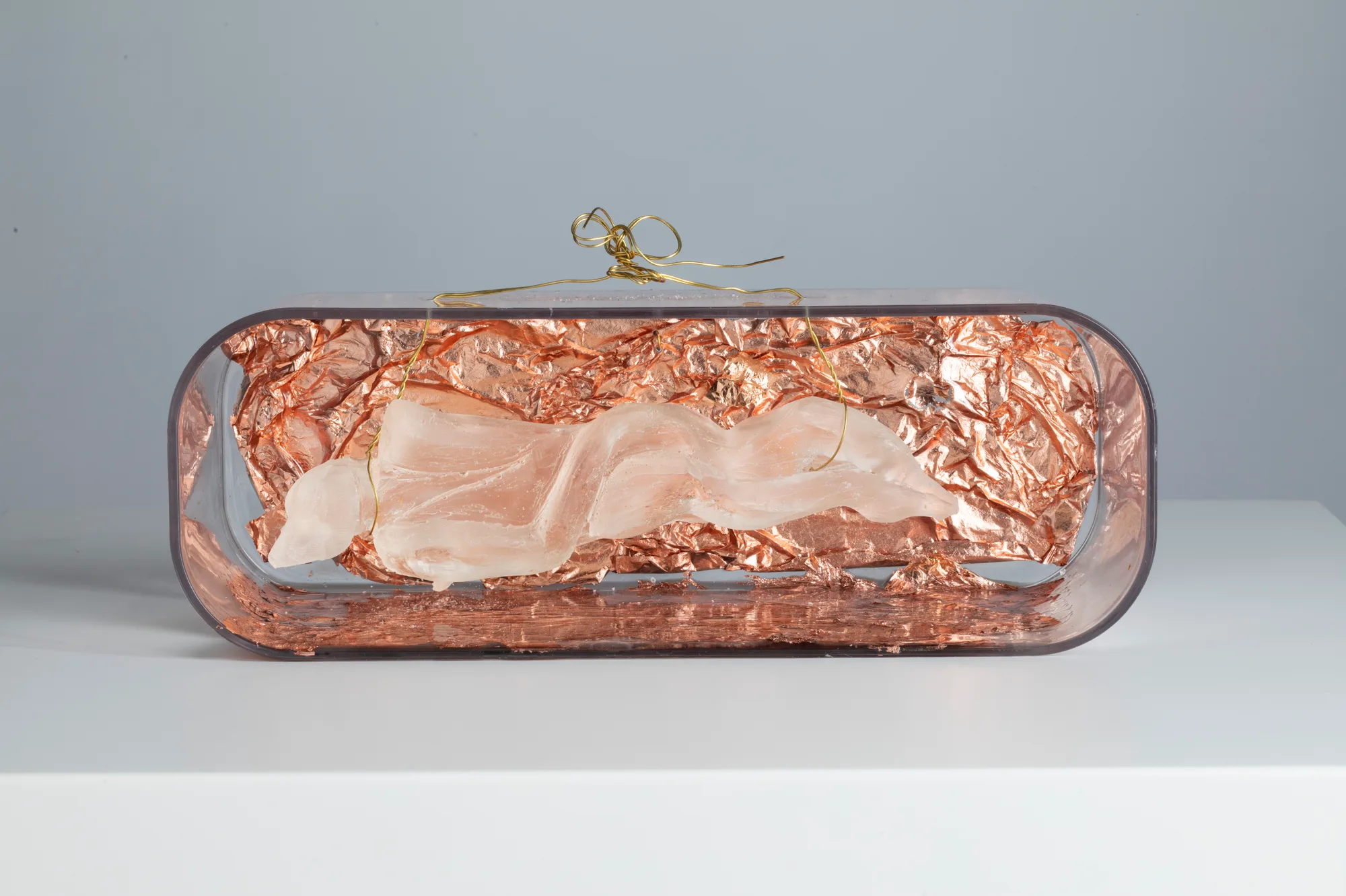 Homonile in little transparent box 1, resina, plexiglas, foglia rame, opera di Stefania Mecucci