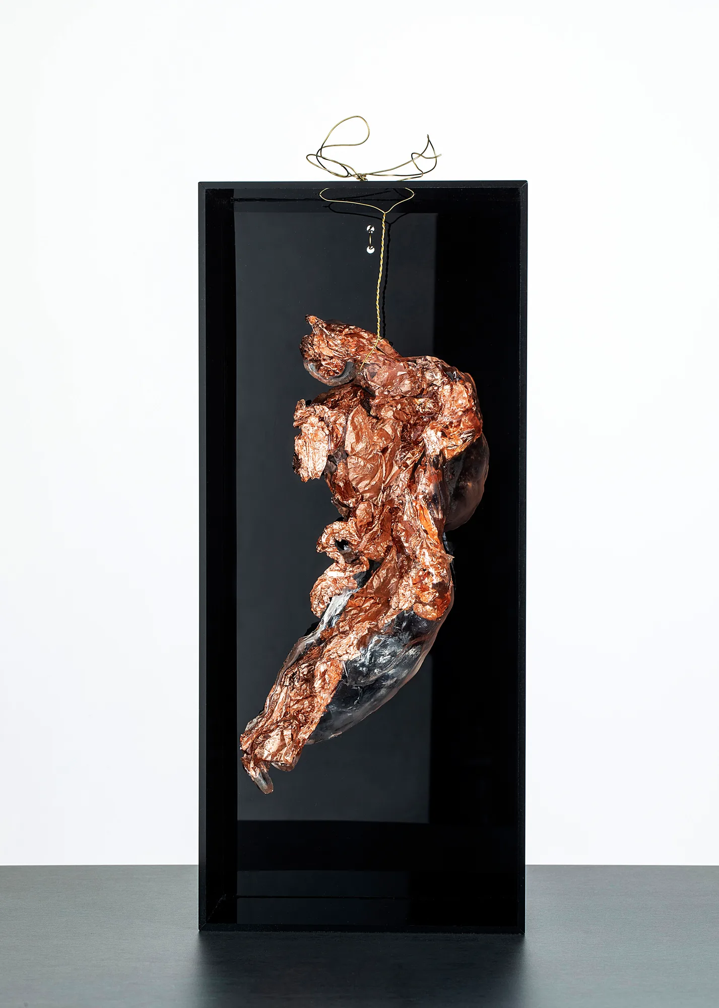 Copper Homonile in black box 1, resina, plexiglas, foglia rame, opera di Stefania Mecucci