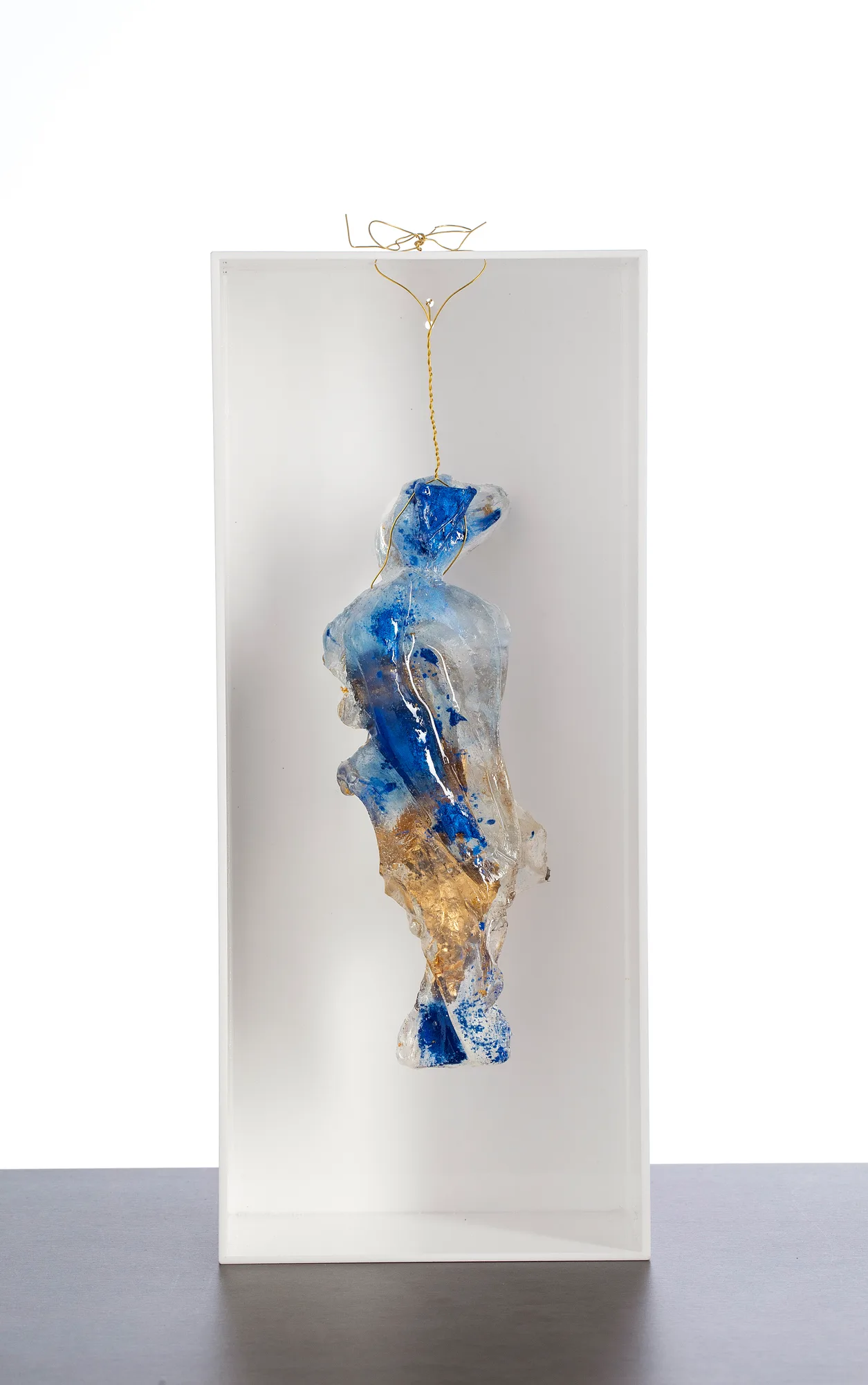 Blu Homonile in white box 1, resina, plexiglas, foglia oro, pigmenti, opera di Stefania Mecucci