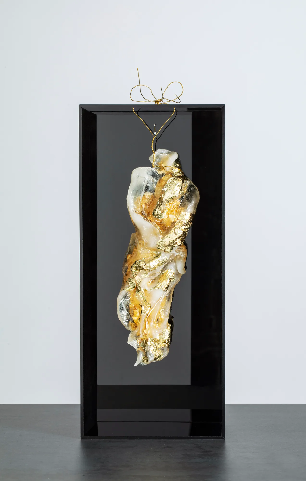 Gold Homonile in black box 1, resina, plexiglas, foglia oro, opera di Stefania Mecucci