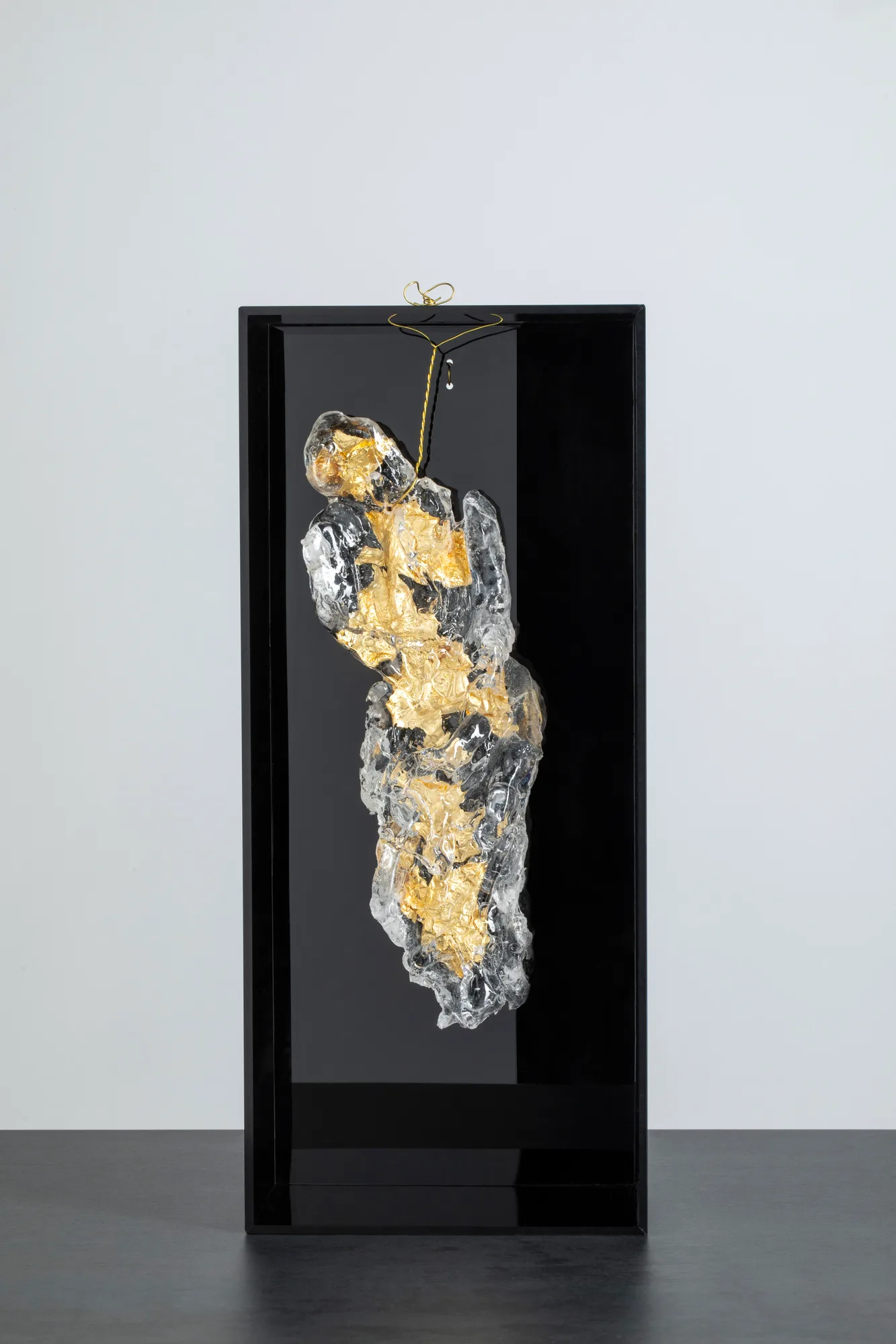 Gold Homonile in black box 2, resina, plexiglas, foglia oro, opera di Stefania Mecucci