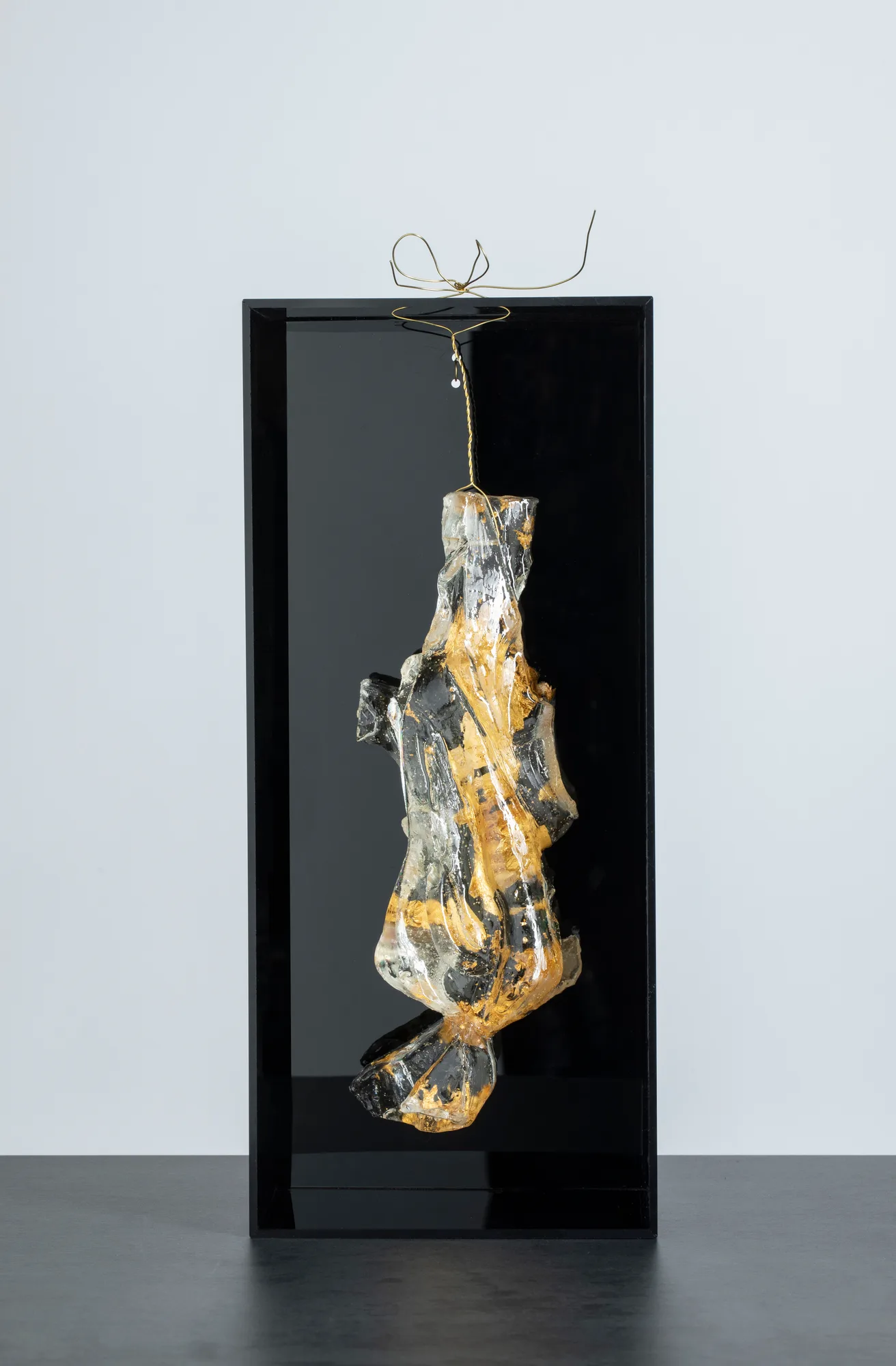 Gold Homonile in black box 3, resina, plexiglas, foglia oro, opera di Stefania Mecucci