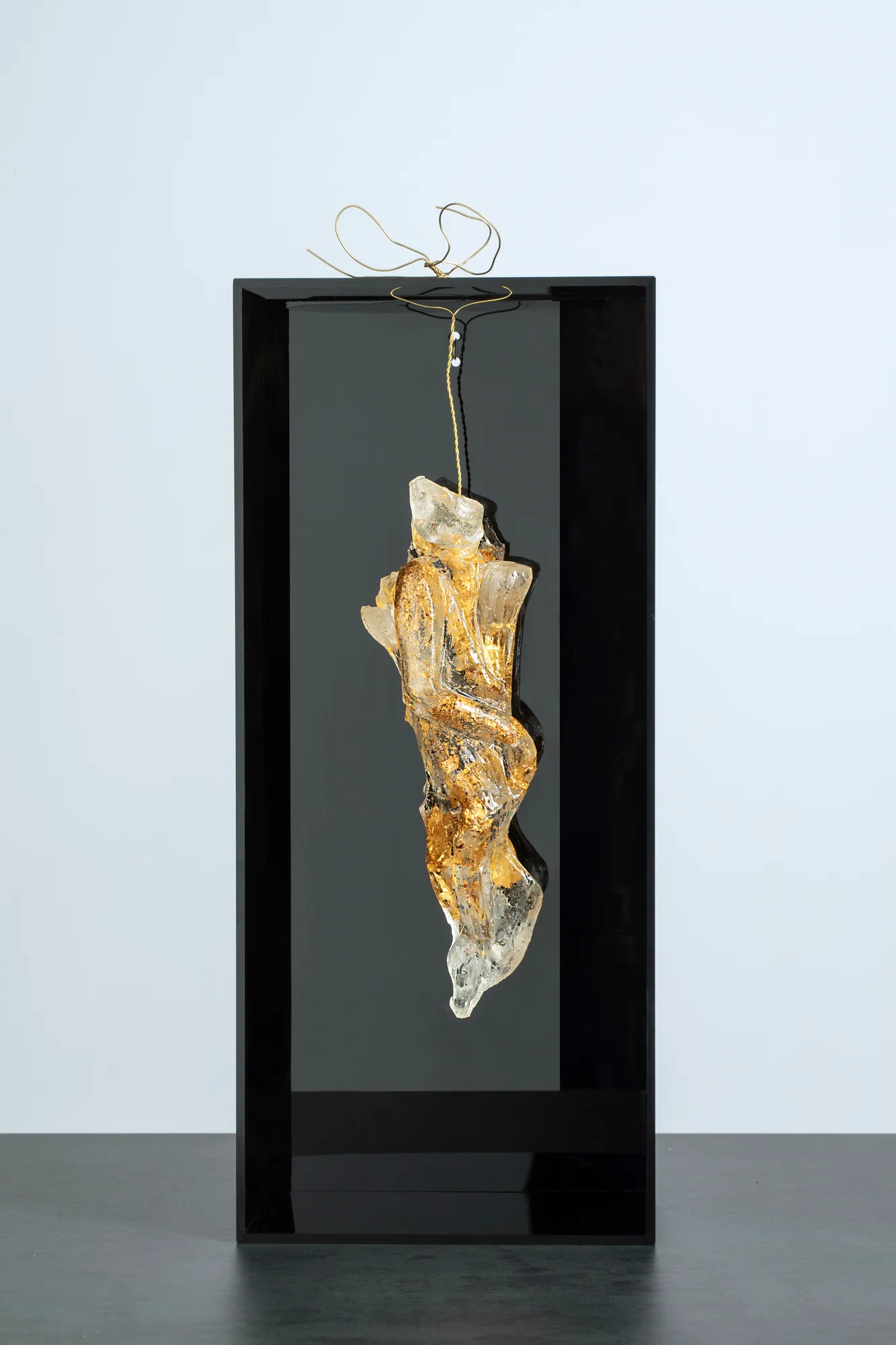 Gold Homonile in black box 4, resina, plexiglas, foglia oro, opera di Stefania Mecucci