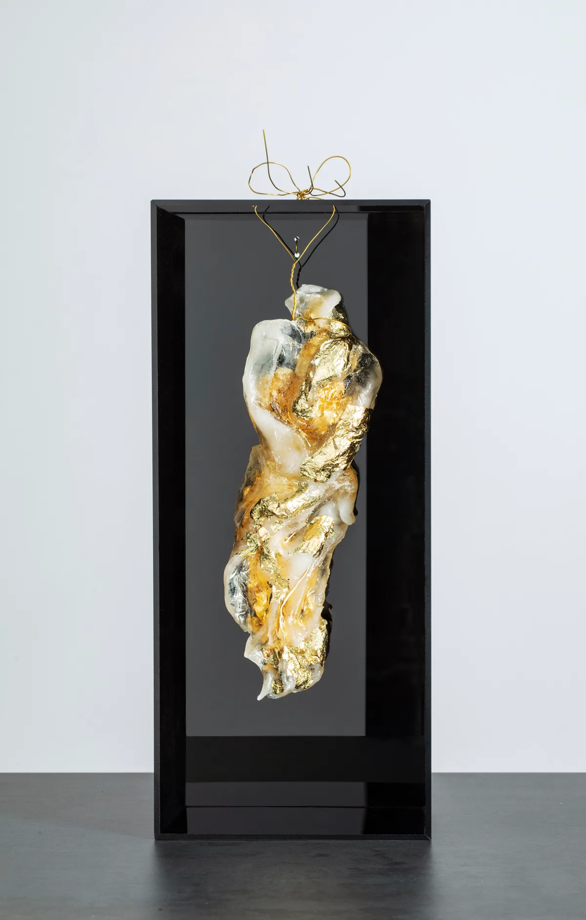 Homonili, resina, plexiglas, foglia oro, opera di Stefania Mecucci